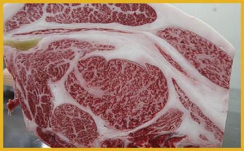 M57「博多和牛」サーロイン【13キロ】