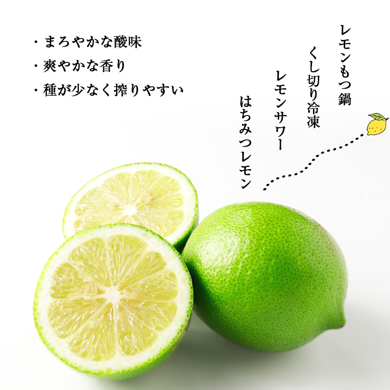 M568【里山レモンの会】宮若市特産品 レモン 約2kg【りのか】