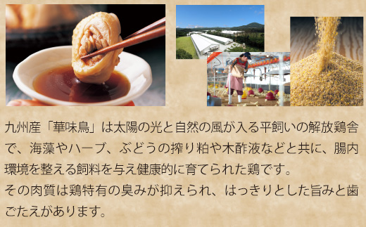 〈博多華味鳥〉 水たきセット 3～4人前 ちゃんぽん麺付き[M677-2] 水炊き もつ鍋 鍋 人気 セット 肉 鶏 はなみどり ご当地グルメ 福岡 スープ