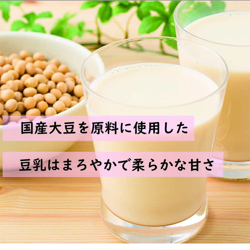 〈ふくれん〉　九州産大豆100％　成分無調整　豆乳　1000ml×12本　[M684-2]　飲料　イソフラボン　ソイ　健康　たんぱく質