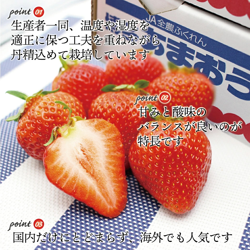 M759-4【順次発送】博多あまおう4パック（春）