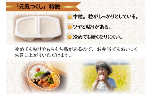 【定期便3ヶ月】　元気つくしパックご飯 　32食（150g×4食×8パック）[M776T2] ごはん 白米 パック 国産 九州産 福岡県産 宮若 レンジ 保存食 備蓄 非常食 常温保存 グルメ