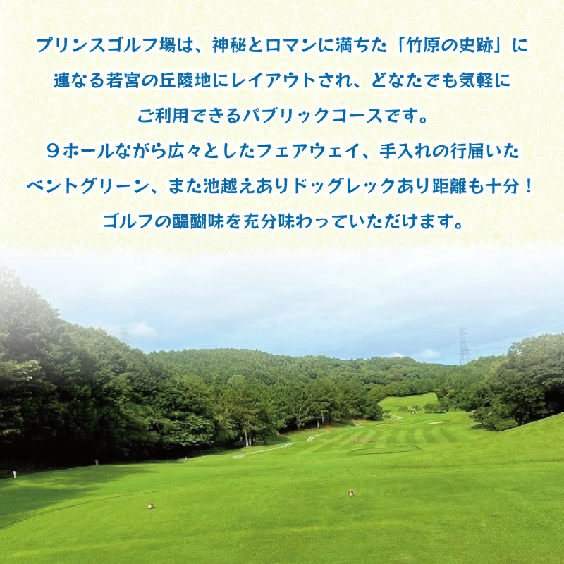 ゴルフ ゴルフ場 ゴルフ利用券 プリンスゴルフクラブ 5,000円分×6枚 合計30,000円分  利用券 プレー チケット 誕生日プレゼント 父の日 宮若市 福岡県 送料無料 M822-100