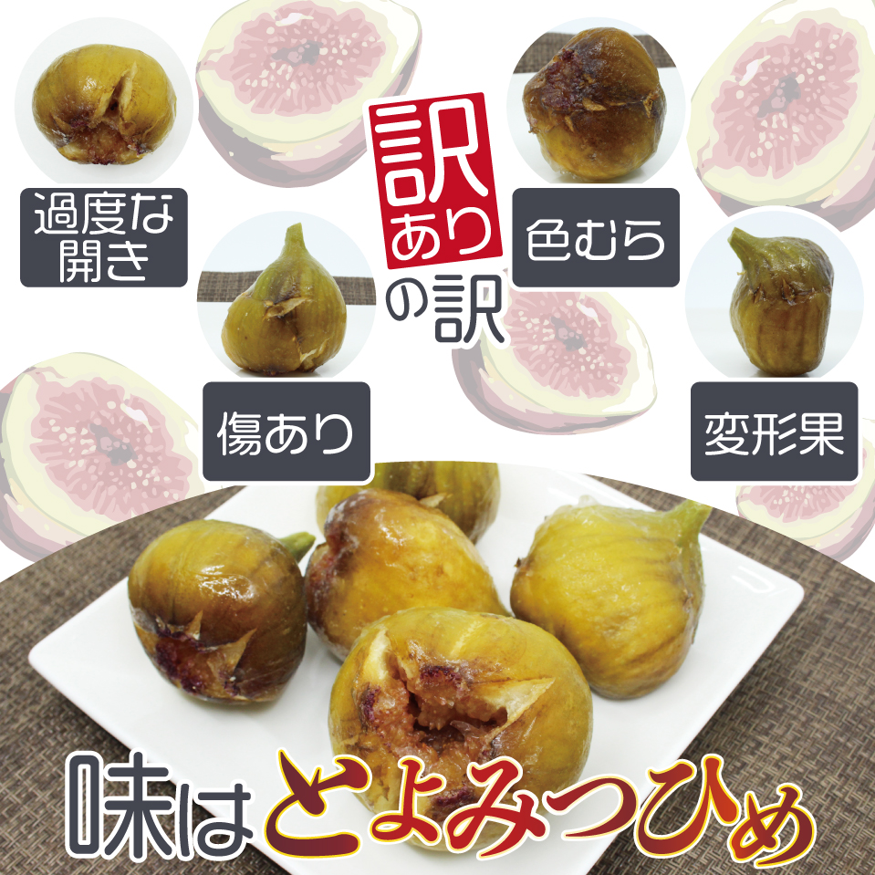 【訳あり】冷凍いちじく「博多とよみつひめ」 1kg (500g×2パック)[M871]