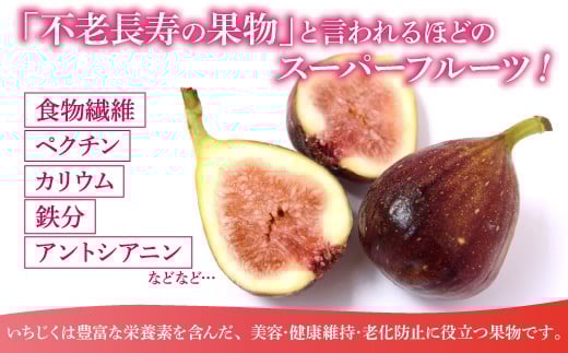 【令和8年度産】【先行予約】福岡県宮若市産 いちじく 400g×4パック(1.6kg) [M894-1]