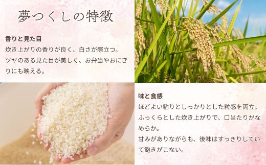 数量限定 令和7年産 夢つくし 精米 10kg〔5kg×2袋〕 [M933-1] ごはん コメ ご飯 精米 白米 ブランド米