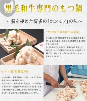 M290〈黒毛和牛専門　もつ鍋こうづき〉もつ鍋セット　醤油味(2~3人前)