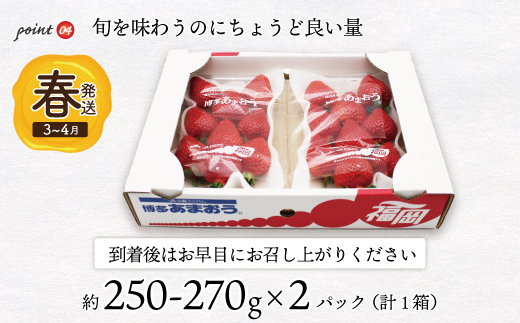 M761-2【2025年2月上旬より順次発送】博多あまおう2パック（春）