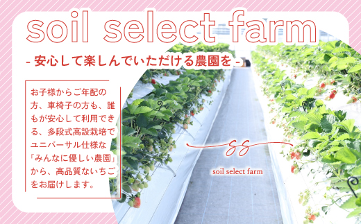 M585-3【先行予約】いちご あまおう 限定  苺 イチゴ 合計約1080g 約270g×4