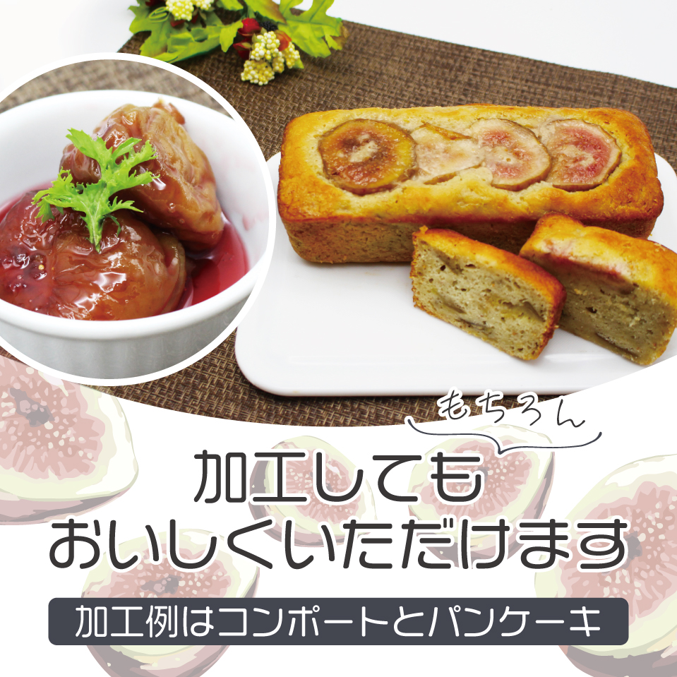 【訳あり】冷凍いちじく「博多とよみつひめ」 2kg (500g×4パック)[M872]
