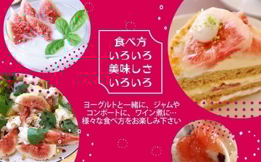 【令和8年度産】【先行予約】福岡県宮若市産 いちじく 400g×4パック(1.6kg) [M894-1]