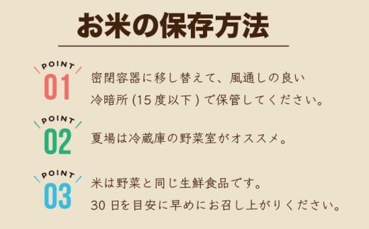 令和7年産 夢つくし 無洗米 10kg [M896-2] ごはん コメ ご飯 精米 白米 ブランド米