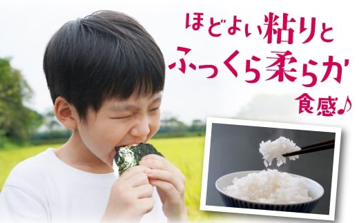 数量限定 令和7年産 夢つくし 精米 10kg〔5kg×2袋〕 [M933-1] ごはん コメ ご飯 精米 白米 ブランド米