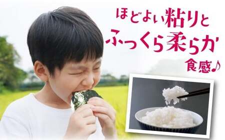 【6ヶ月連続定期便】数量限定 令和7年産 夢つくし 精米 10kg〔5kg×2袋〕×6ヶ月 [M937-1] ごはん コメ ご飯 精米 白米 ブランド米