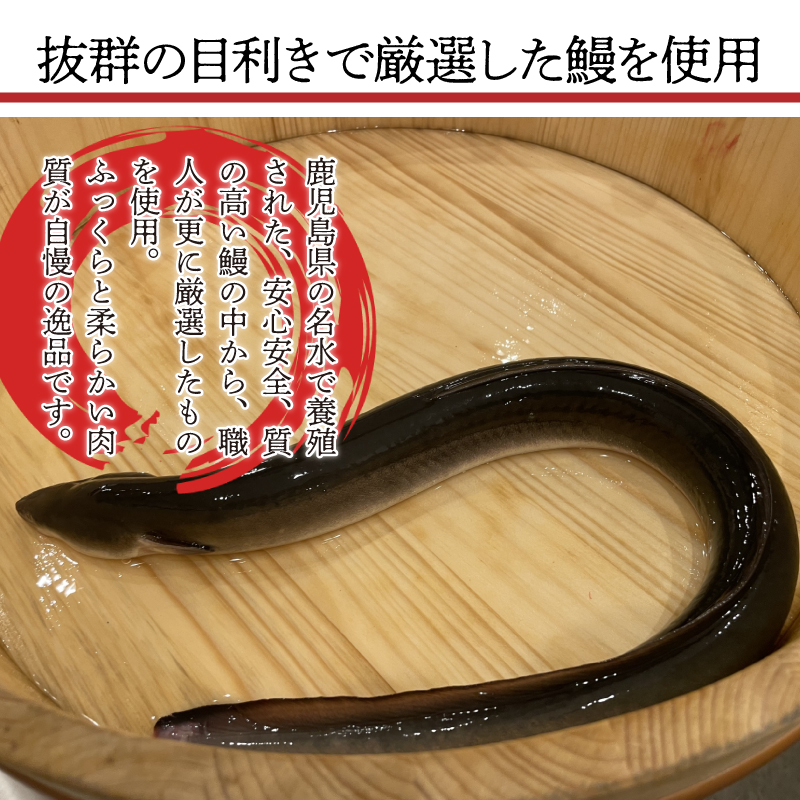 ＜いろは＞うなぎ蒲焼 国産 150g × 3尾 (有頭)　[M686] ウナギ 鰻 炭火焼き ふっくら 肉厚 うな重 ランキング 土用の丑の日 鹿児島県 人気 オススメ 宮若市