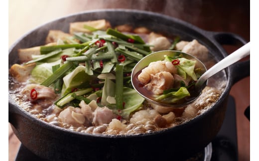 〈博多華味鳥〉 もつ鍋セット 3～4人前　[M750-1] 水炊き 牛 モツ ホルモン 鍋 人気 セット 肉 鶏 はなみどり ご当地グルメ 福岡 スープ