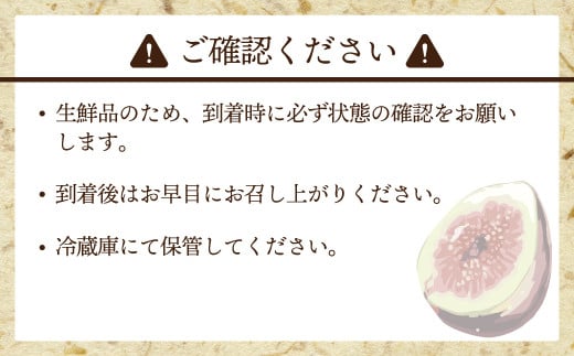 【令和8年度産】【先行予約】福岡県ブランドいちじく「博多とよみつひめ」300g×4パック [M775-1] 福岡県限定 果肉 上品 甘い なめらか食感 糖度17度 フルーツ 果物