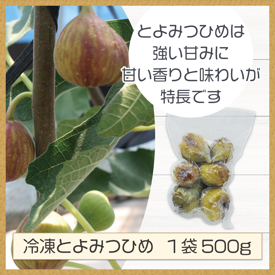 【訳あり】冷凍いちじく「博多とよみつひめ」 2kg (500g×4パック)[M872]