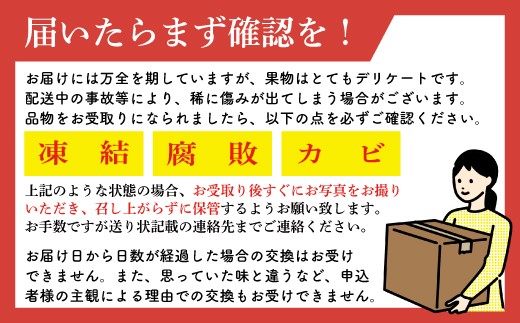 【令和8年度産】【先行予約】福岡県宮若市産 いちじく 400g×4パック(1.6kg) [M894-1]
