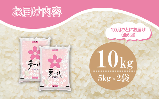 【6ヶ月連続定期便】数量限定 令和7年産 夢つくし 精米 10kg〔5kg×2袋〕×6ヶ月 [M937-1] ごはん コメ ご飯 精米 白米 ブランド米