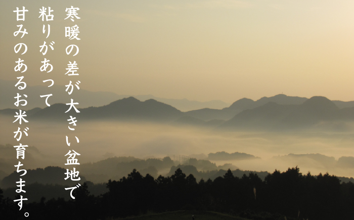 令和7年産　【先行予約】実りつくし 5kg　【10月下旬より順次発送】 福岡県宮若産〈安河内農産〉　[M788]　米・食味コンクール国際大会金賞米 精米 ブランド米 コメ ご飯 白米