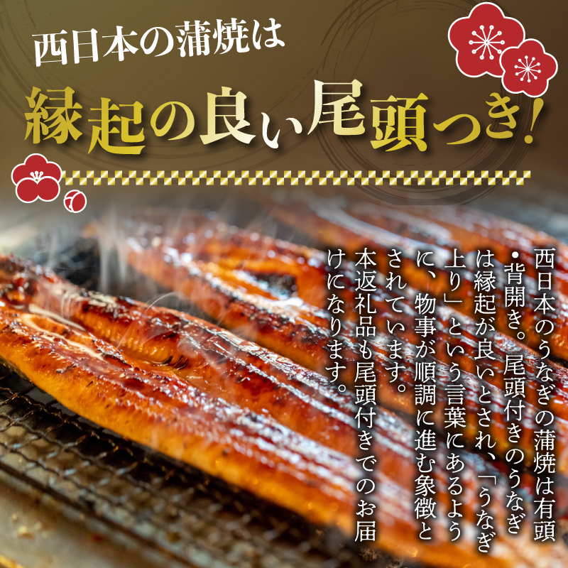 ＜いろは＞うなぎ蒲焼 国産 150g × 3尾 (有頭)　[M686] ウナギ 鰻 炭火焼き ふっくら 肉厚 うな重 ランキング 土用の丑の日 鹿児島県 人気 オススメ 宮若市
