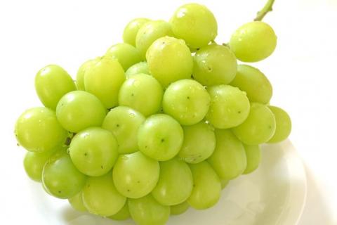 Ｍ１７６　【９月中旬順次発送】＊訳あり品＊増量中＊【露地栽培のシャインマスカット１．２キロ以上】 みよばあちゃんのぶどう畑直送！