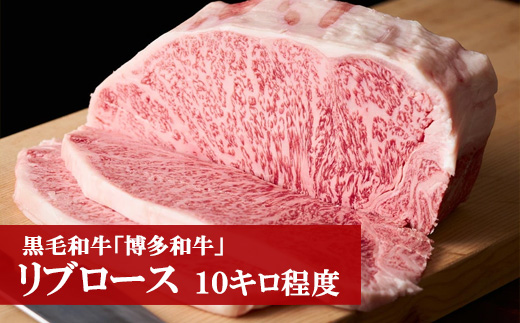 M55 「博多和牛」リブロース【10キロ】