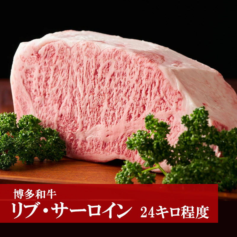 M58「博多和牛」リブ・サーロイン【24キロ】