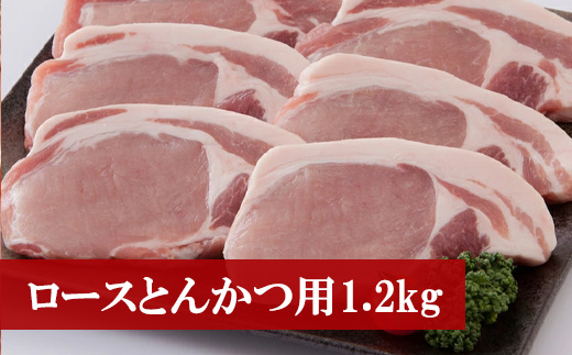 M76 野田精肉店厳選豚肉【とんかつ用1.2キロ】