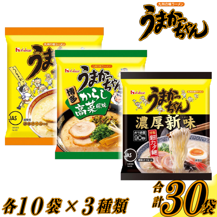 うまかっちゃんセット　30食（3種類✕各10食）[M244P1-5]　ラーメン 豚骨 インスタント 乾麺 即席麺 拉麺 保存食 九州 濃厚新味 高菜
