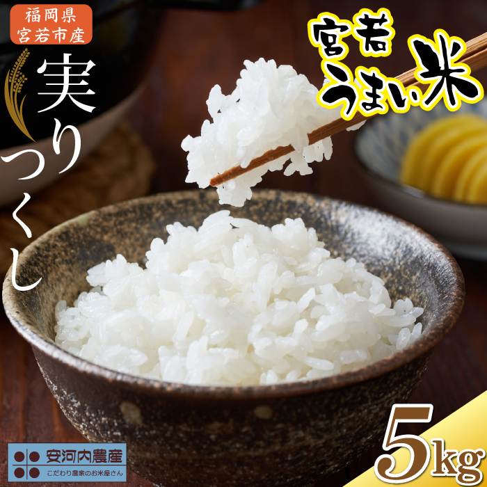 令和7年産　【先行予約】実りつくし 5kg　【10月下旬より順次発送】 福岡県宮若産〈安河内農産〉　[M788]　米・食味コンクール国際大会金賞米 精米 ブランド米 コメ ご飯 白米