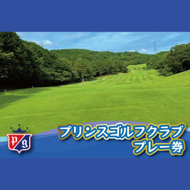 ゴルフ ゴルフ場 ゴルフ利用券 プリンスゴルフクラブ 5,000円分×9枚 合計45,000円分  利用券 プレー チケット 誕生日プレゼント 父の日 宮若市 福岡県 送料無料 M822-150
