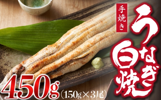 九州産手焼きうなぎ白焼き 3尾（約450g） [M828-1]