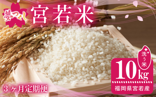 【3ヶ月連続定期便】令和7年産 夢つくし 精米 10kg〔5kg×2袋〕×3ヶ月 [M921-1] ごはん コメ ご飯 精米 白米 ブランド米