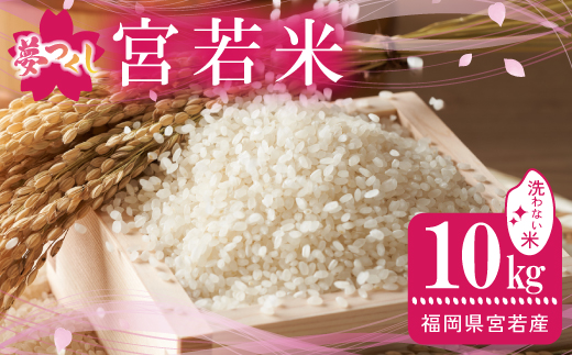 令和7年産 夢つくし 無洗米 10kg [M896-2] ごはん コメ ご飯 精米 白米 ブランド米