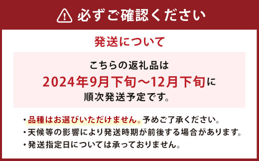 【数量限定】梨 4.5kg+1玉 【2024年9月下旬～12月下旬発送予定】 豊水 20世紀 新高 新興 果物 フルーツ