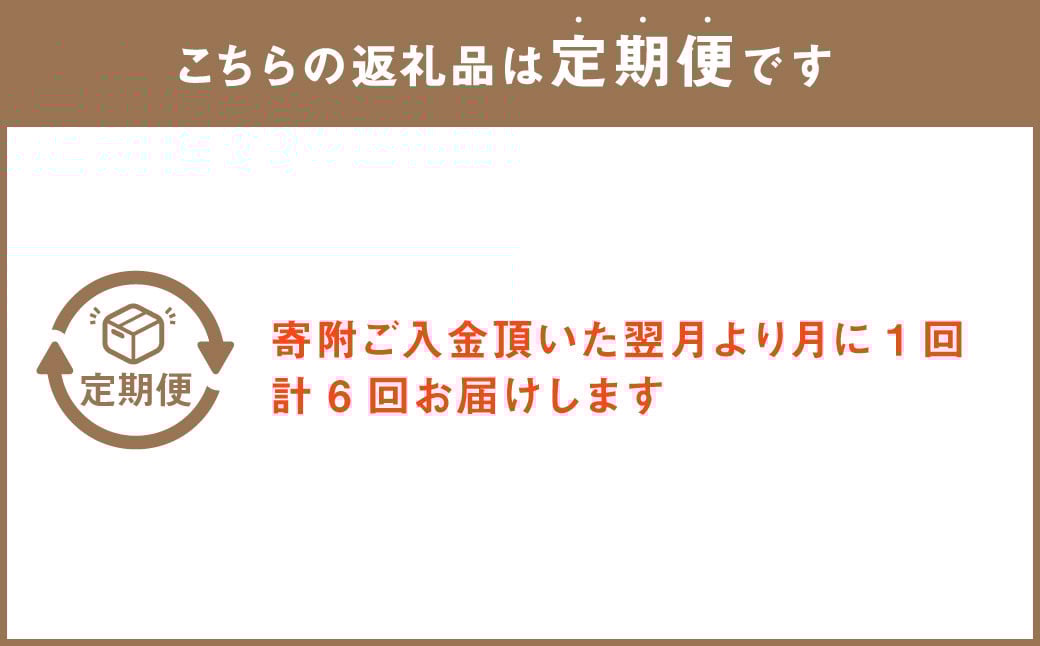 【定期便 6回】”松竹梅の竹セット”届いたら、いつもの花瓶に入れるだけ！ 簡単管理 の おしゃれ ブーケ ♪初回 花瓶 付き、毎回延命剤付き！！ 花 生花 花束