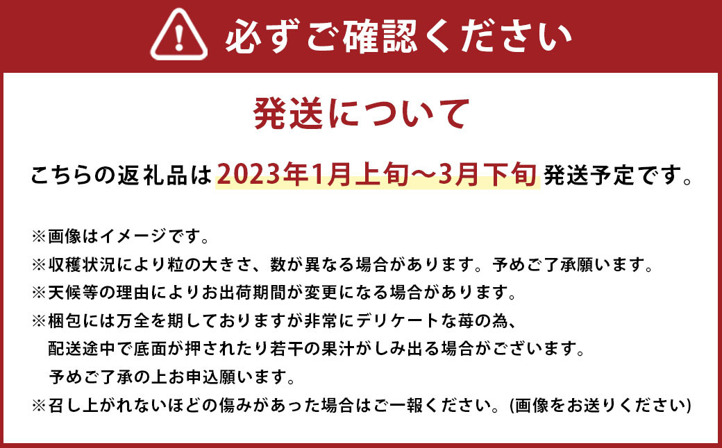 【2023年1月上旬発送開始】福岡県産いちご「あまおう」2パック
