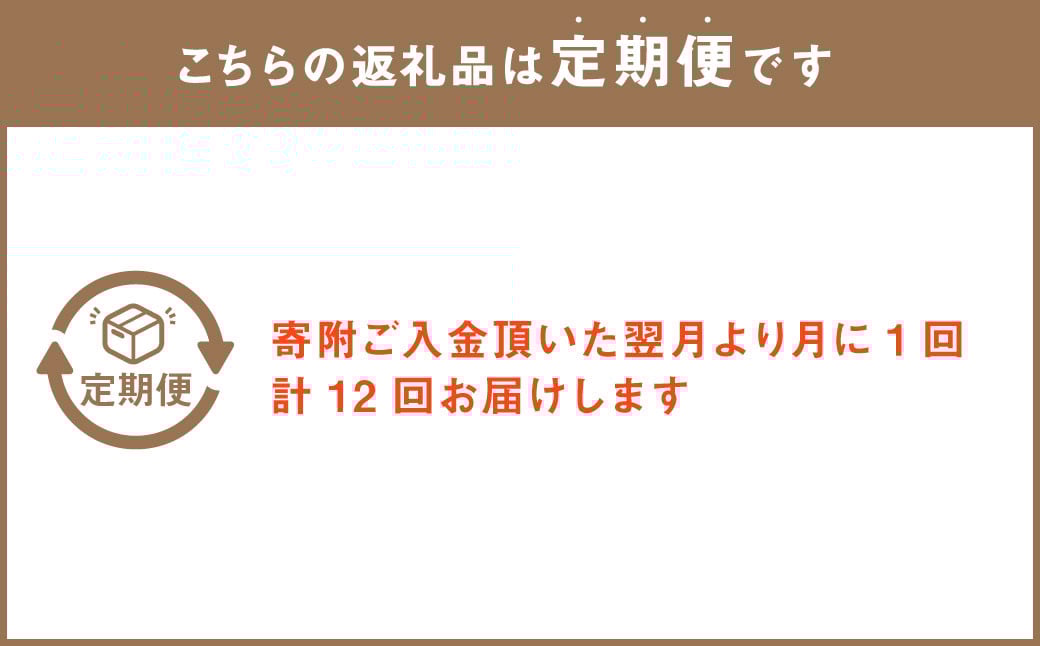 【定期便 12回】”松竹梅の竹セット”届いたら、いつもの花瓶に入れるだけ！ 簡単管理 の おしゃれ ブーケ ♪初回 花瓶 付き、毎回延命剤付き！！12回定期便 花 生花 花束