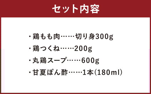 むなかた鶏使用 水炊き2人前