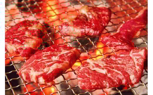 博多和牛 A4ランク以上 焼肉用 タレ漬 約1.1kg （約550g×2個） バラ 肩ロース ウデ 肉 お肉 にく 牛肉 博多 和牛 焼肉 焼き肉 タレ 漬け込み タレ漬け 味付け肉 小分け 冷凍