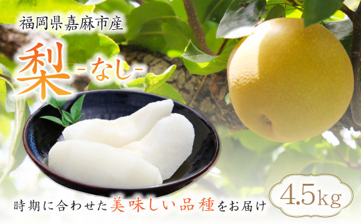 【2023年11月～12月発送】梨 4.5kg 九州産 二十世紀 豊水 南水 あきづき 新高 新興 王秋