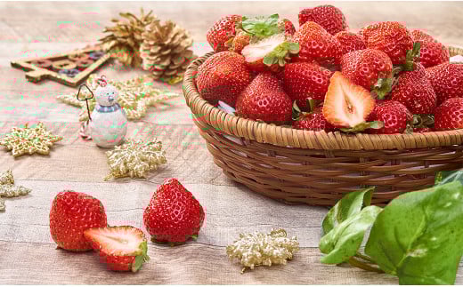 【冬】福岡産 あまおう いちご 約250～270g×2パック