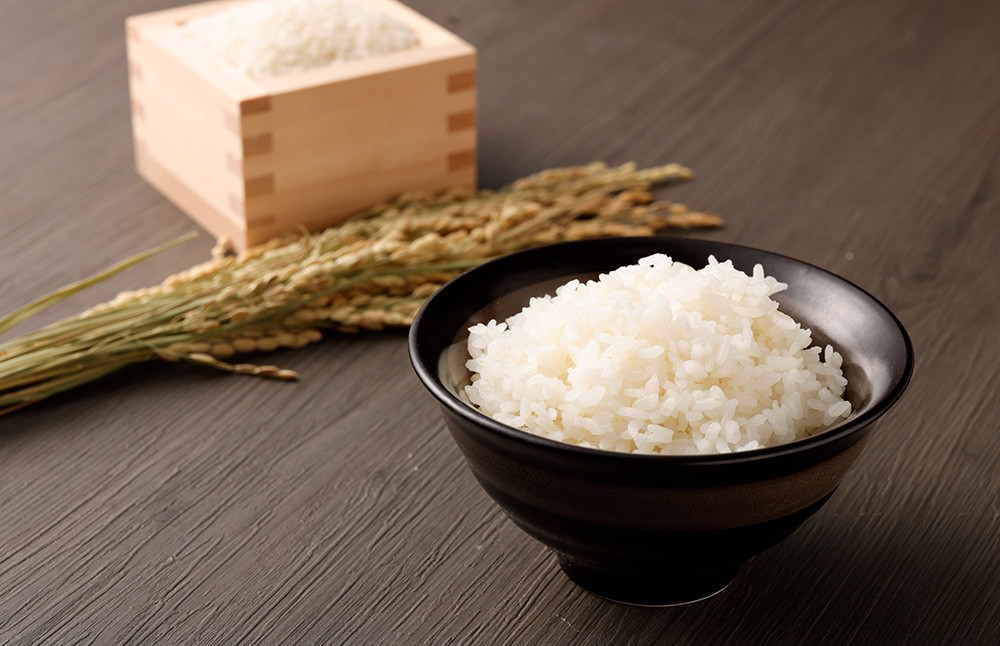 極源流米 お試し パック 約300g 夢つくし