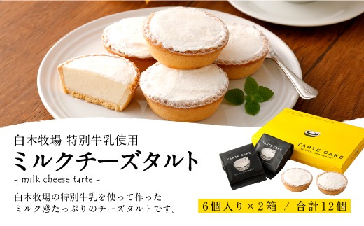 ミルクチーズ タルト 6個入り×2 クリームチーズ 特別牛乳 洋菓子 チーズ スイーツ チーズタルト