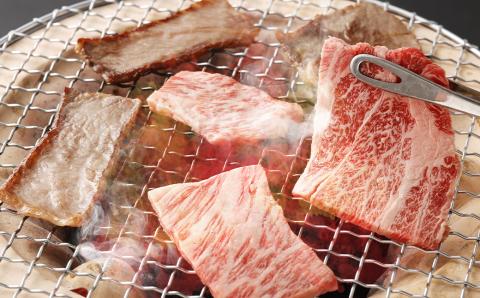 博多和牛 焼肉セット (極上霜降り400g、ヘルシー赤身400g)