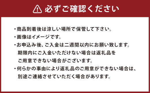 【数量限定】梨 4.5kg+1玉 【2024年9月下旬～12月下旬発送予定】 豊水 20世紀 新高 新興 果物 フルーツ