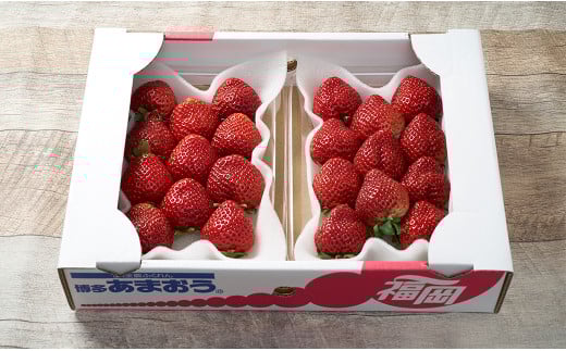 【冬】福岡産 あまおう いちご 約250～270g×2パック