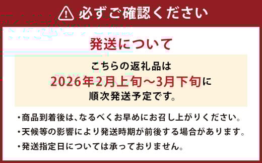 【春】福岡産 あまおう いちご 約250～270g×6パック